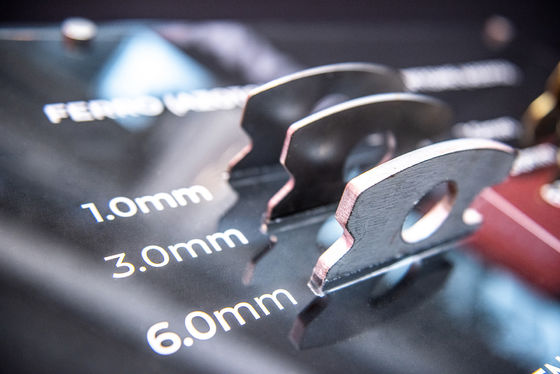 Snelle snelheid met hoge precisie plaatplaat metalen laser snijmachine voor Raylaser 3015 4020