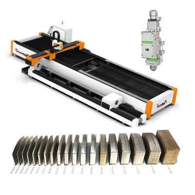 2000w Raytools Laser Head Metal Fiber Laser Cutting Machine voor roestvrijstalen plaat